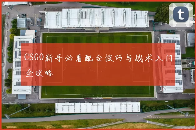 CSGO新手必看配合技巧与战术入门全攻略