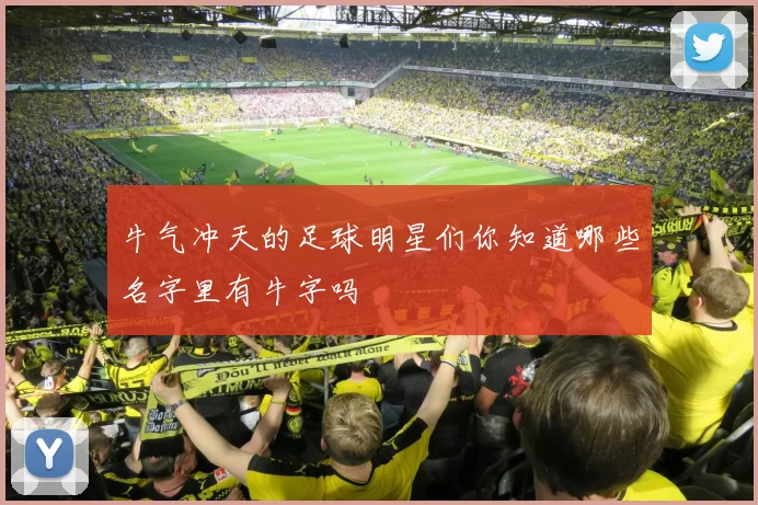 牛气冲天的足球明星们你知道哪些名字里有牛字吗