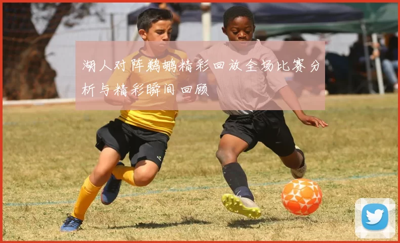 湖人对阵鹈鹕精彩回放全场比赛分析与精彩瞬间回顾