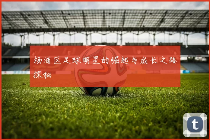 杨浦区足球明星的崛起与成长之路探秘