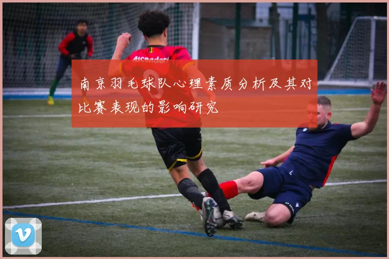 南京羽毛球队心理素质分析及其对比赛表现的影响研究