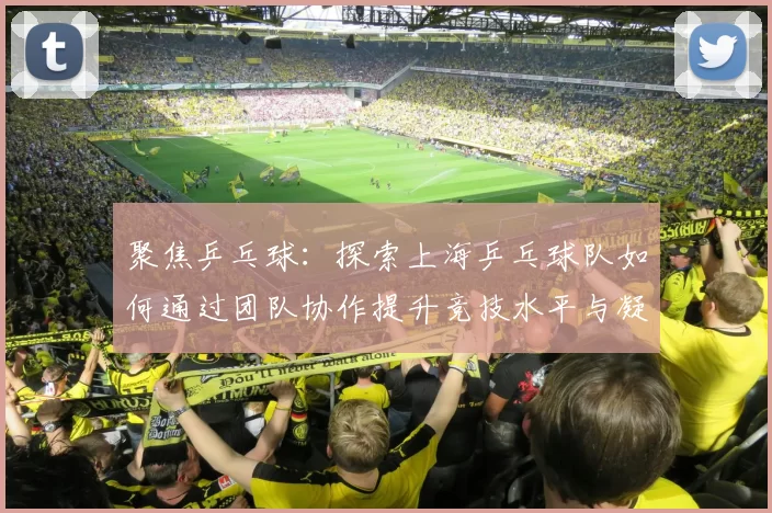聚焦乒乓球：探索上海乒乓球队如何通过团队协作提升竞技水平与凝聚力