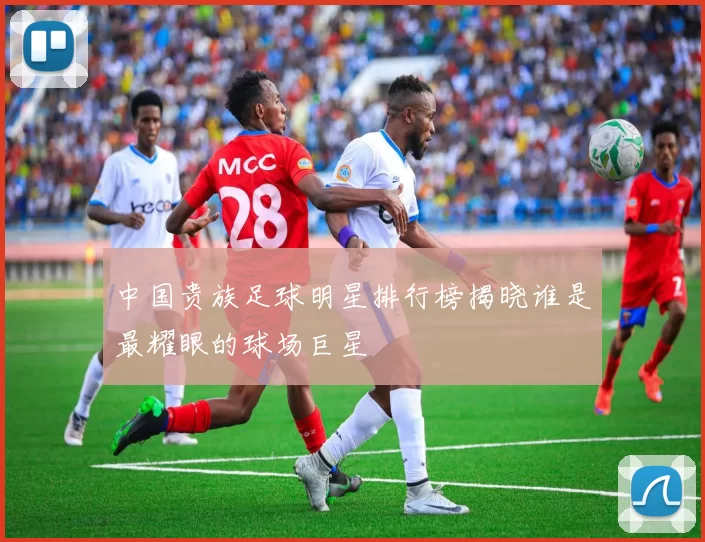 中国贵族足球明星排行榜揭晓谁是最耀眼的球场巨星