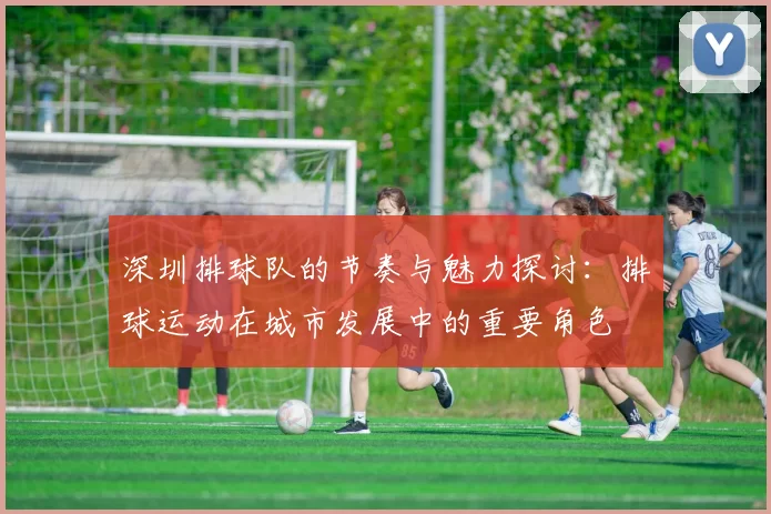 深圳排球队的节奏与魅力探讨：排球运动在城市发展中的重要角色