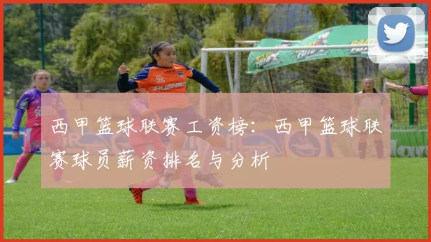 西甲篮球联赛工资榜：西甲篮球联赛球员薪资排名与分析