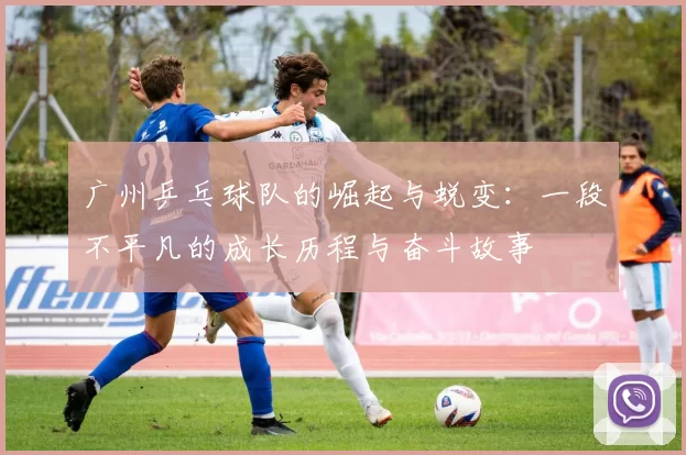 广州乒乓球队的崛起与蜕变：一段不平凡的成长历程与奋斗故事