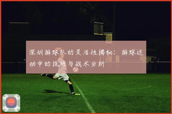深圳排球队的灵活性揭秘：排球运动中的技巧与战术分析