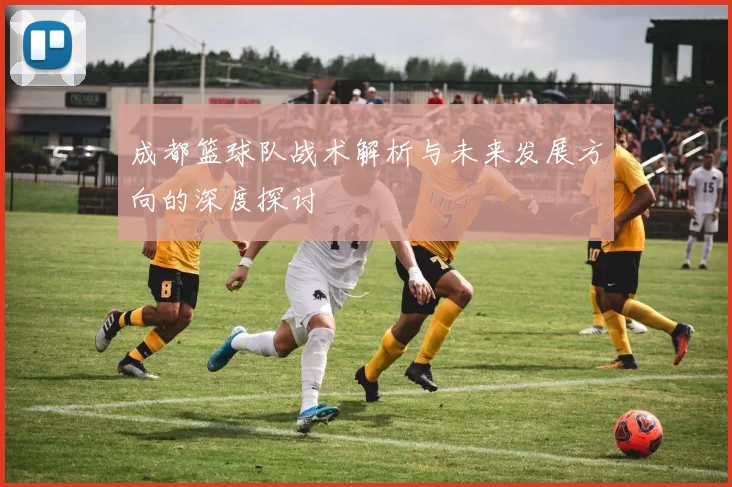 成都篮球队战术解析与未来发展方向的深度探讨