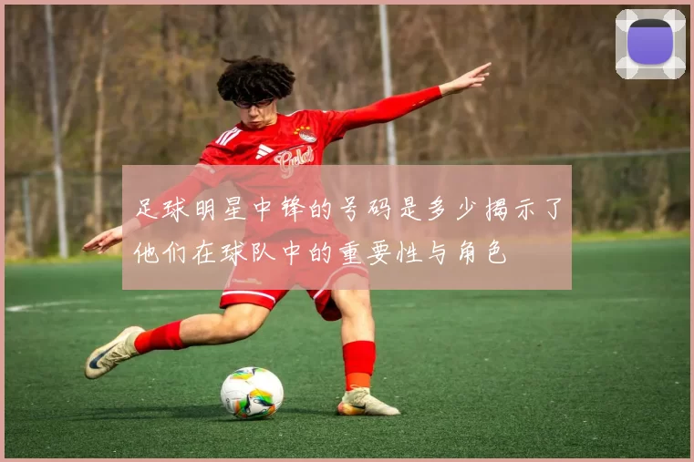 足球明星中锋的号码是多少揭示了他们在球队中的重要性与角色