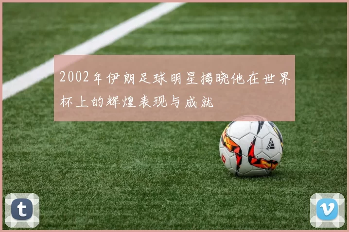 2002年伊朗足球明星揭晓他在世界杯上的辉煌表现与成就