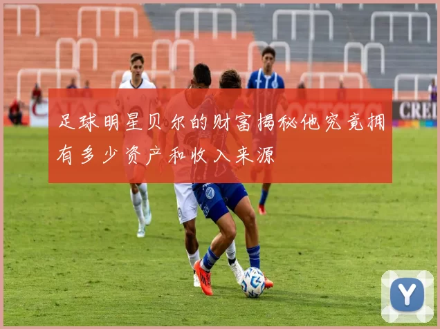 足球明星贝尔的财富揭秘他究竟拥有多少资产和收入来源