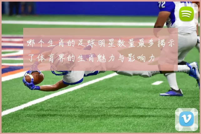 哪个生肖的足球明星数量最多揭示了体育界的生肖魅力与影响力
