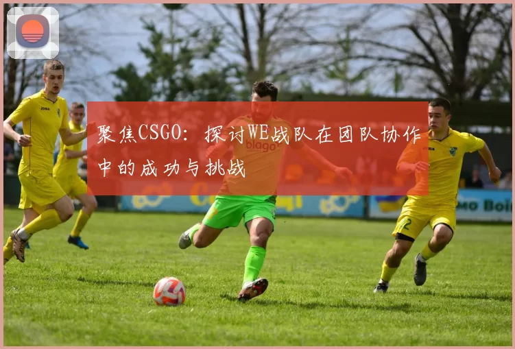 聚焦CSGO：探讨WE战队在团队协作中的成功与挑战